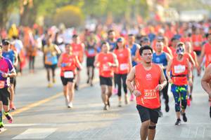 BIB: 2010
                            <button type="button" onclick="openModal(12775511)" class="btn btn-primary btn-sm float-right btn-popup" data-toggle="modal" data-target=".modal-high-quality">
                        <i class="fas fa-shopping-cart"></i> Add to Cart
                    </button>
                                            <button type="button" onclick="isThisMe(12775511, true)" class="btn btn-success btn-sm float-right btn-popup btn-isme hidden" data-toggle="tooltip" data-placement="bottom" title="นี่คือรูปของคุณใช่ไหม คลิกที่นี่เพื่อเอาเข้าอัลบั้ม">
                        <i class="fas fa-plus"></i> Add to album
                    </button>
                    <button type="button" onclick="isThisMe(12775511, false)" class="btn btn-warning btn-sm float-right btn-popup btn-isnotme hidden">
                        <i class="fas fa-ban"></i> Remove from album
                    </button>